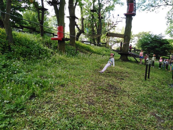 PARK LINOWY (62)